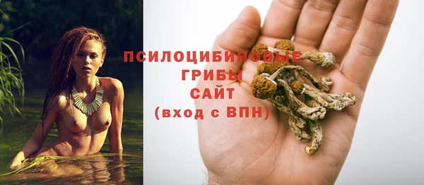 хмурый Алексин