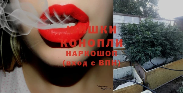 ешки Алзамай