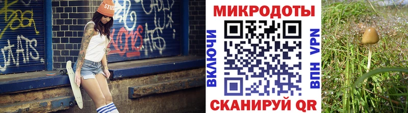 Галлюциногенные грибы мицелий  купить наркотик  Снежногорск 