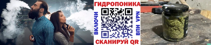 Бошки марихуана план  мега ссылка  Снежногорск 